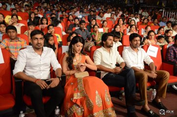 Krishna Gadi Veera Prema Gaadha Movie Audio Launch